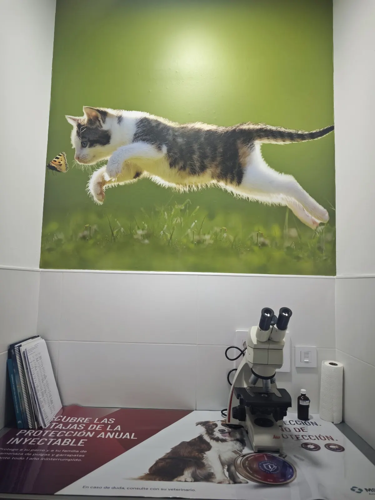 Laboratorio en Vet360