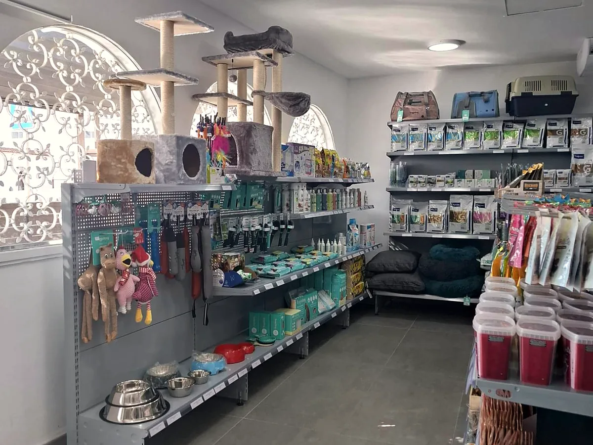 Accesorios, rascadores y juguetes en la tienda de Vet360